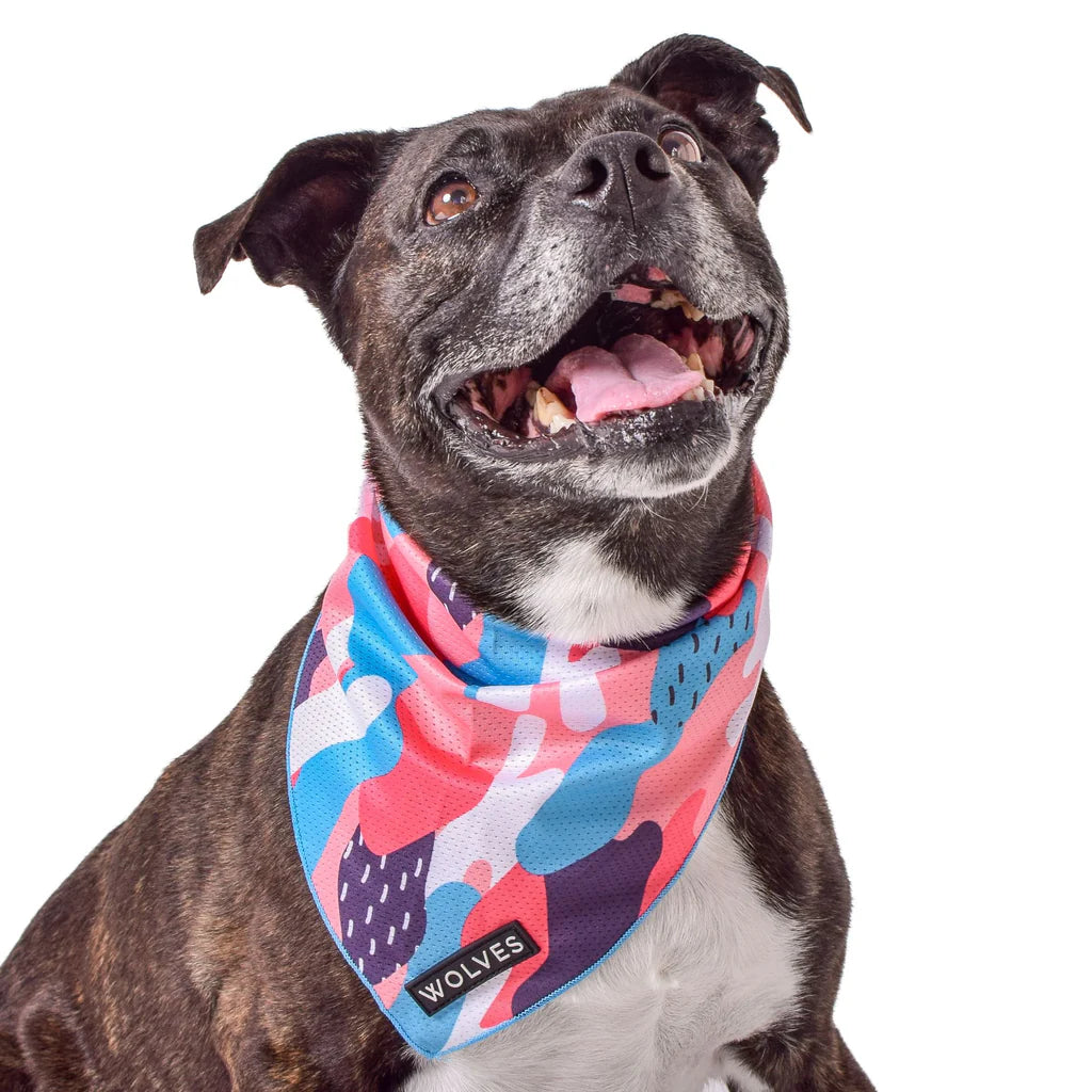 Wolves Of Wellington Floss Bandana - Large