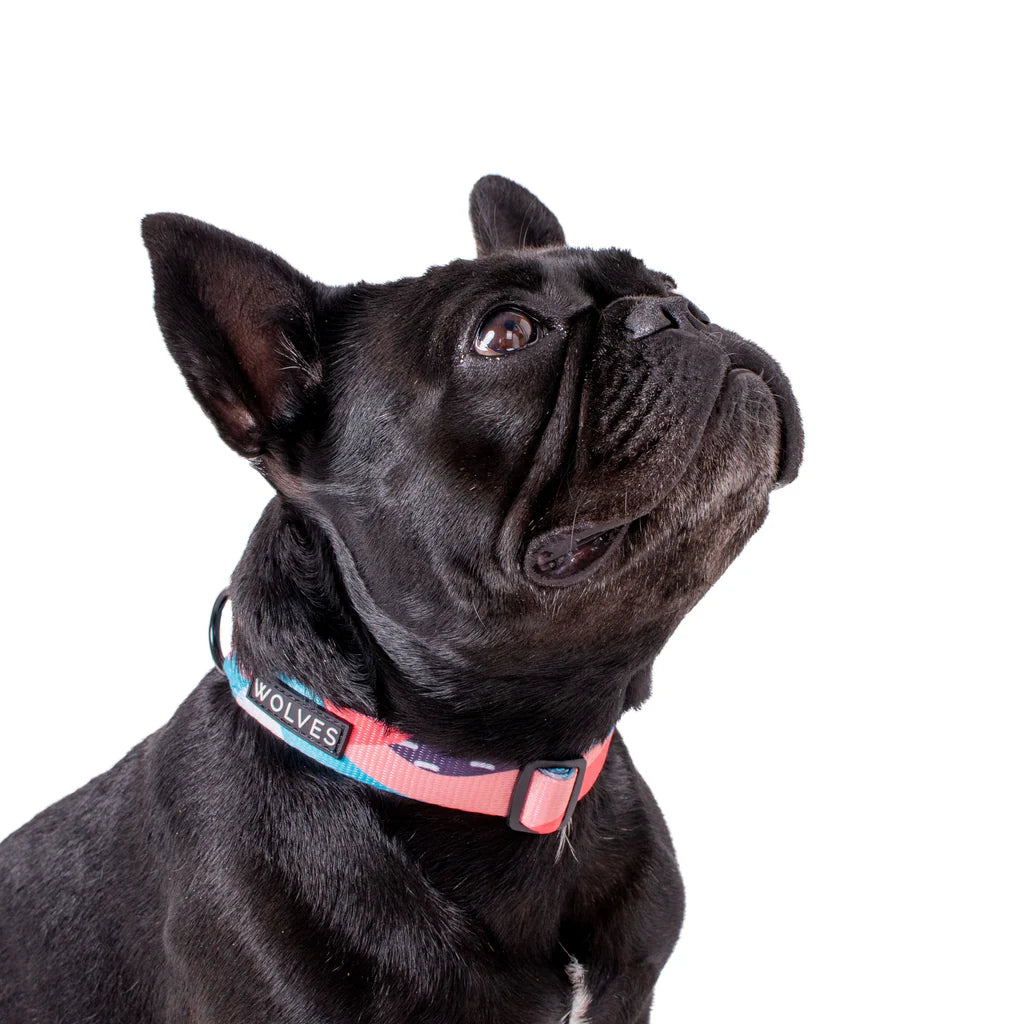 Wolves Of Wellington Floss Collar - Medium