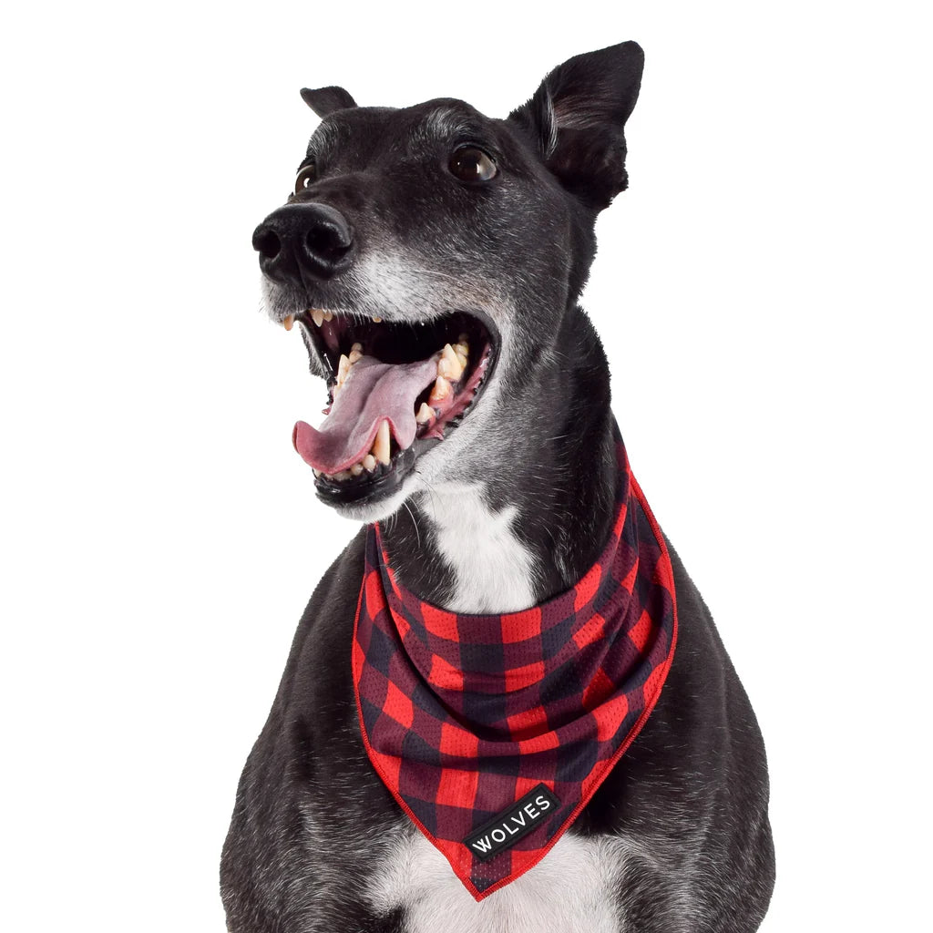 Wolves Of Wellington Buffalo Bandana - Large