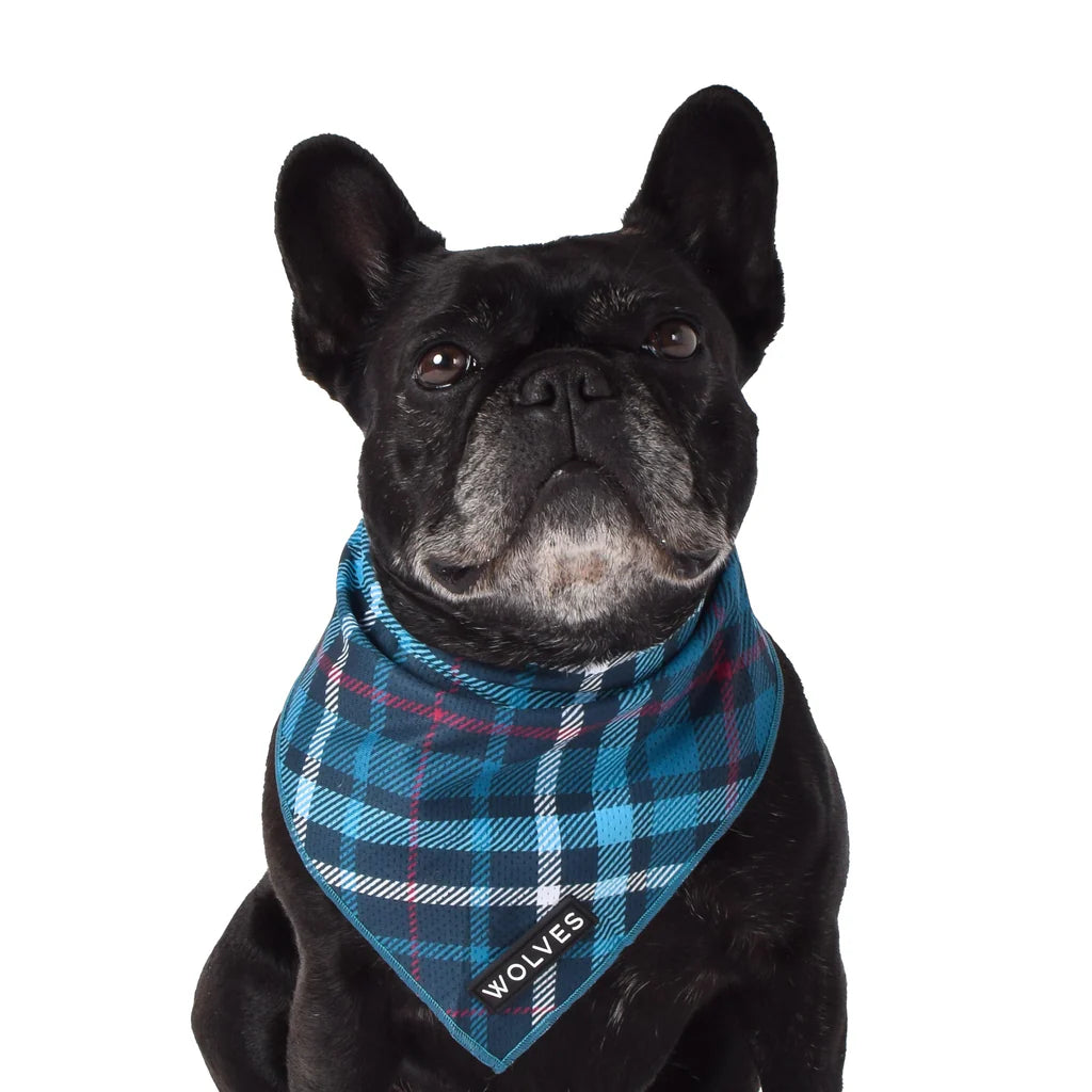 Wolves Of Wellington Lochie Bandana - Large
