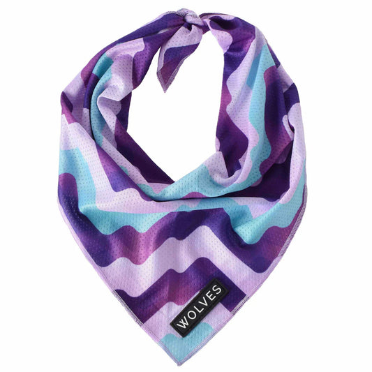 Wolves Of Wellington Sulley Bandana - Large