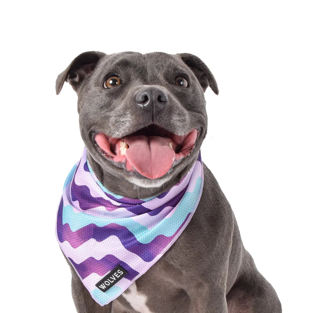 Wolves Of Wellington Sulley Bandana - Large