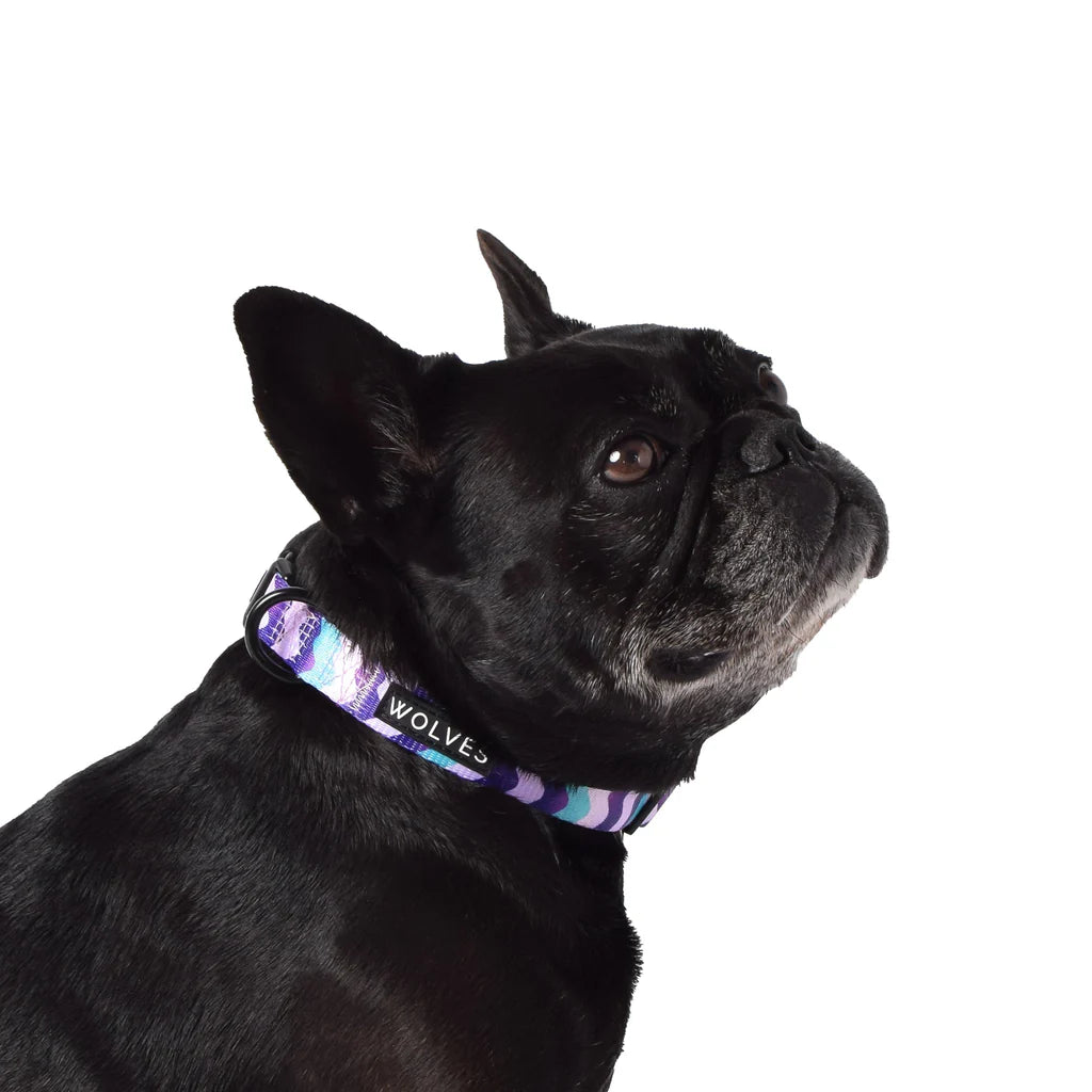 Wolves Of Wellington Sulley Collar - X Small